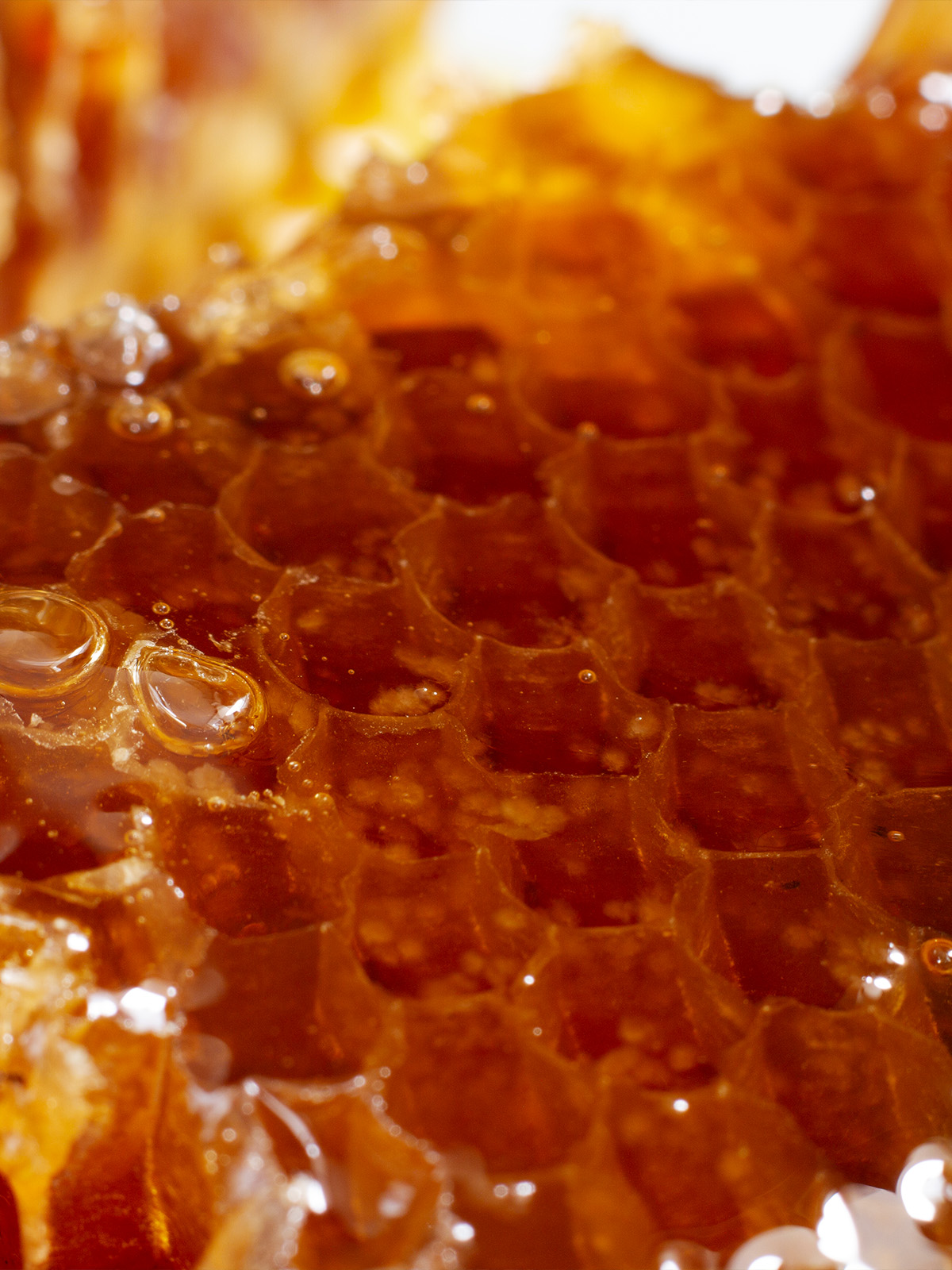 A honeycomb