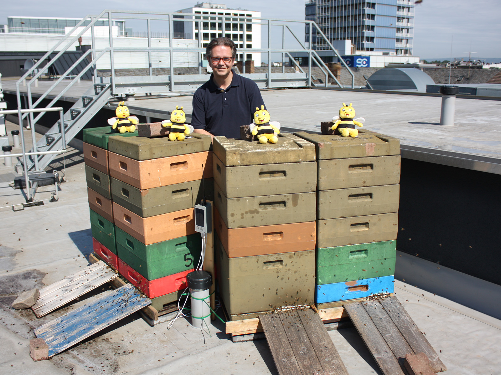 Our director Stephan on the roof of the sander Hotel, in front of the beehive boxes with plush bees.